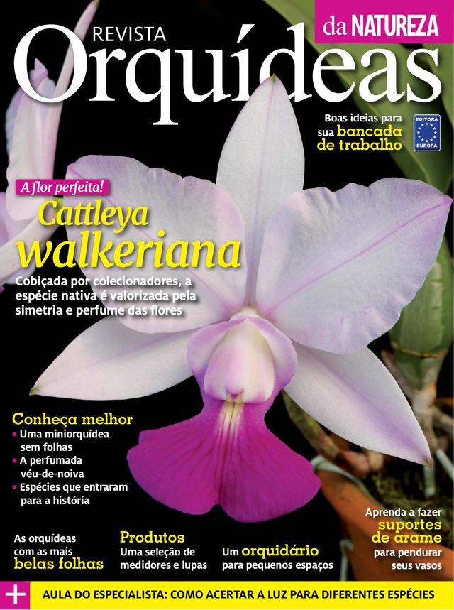 Orquídeas da Natureza