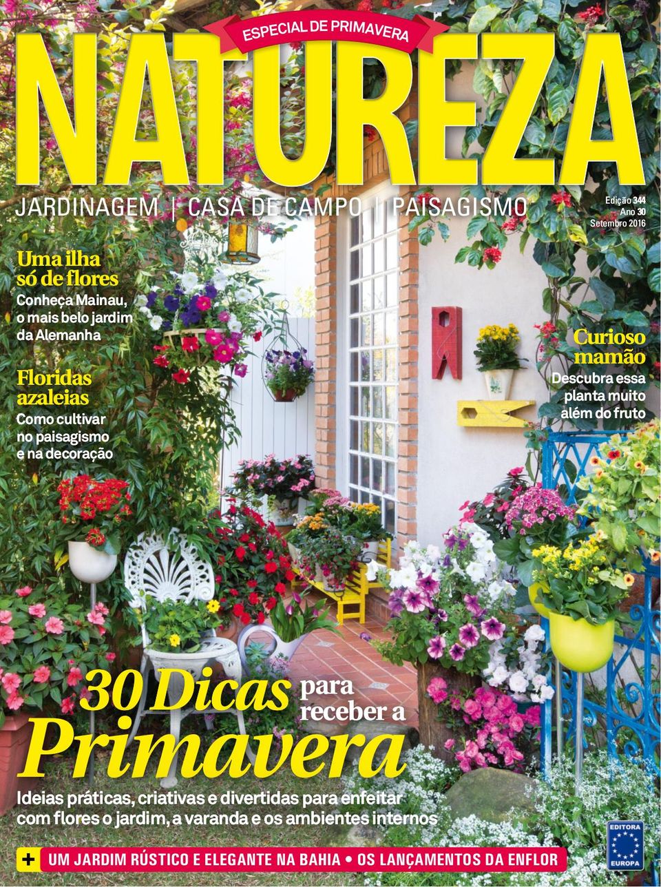 Get Florida ideias de decoracao For Free