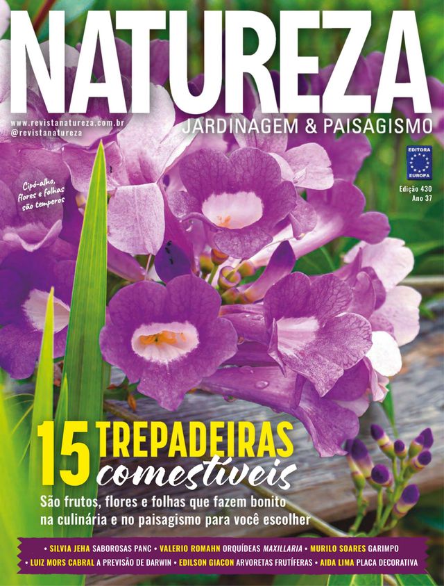 Mit Magzter GOLD unbegrenztes Potenzial nutzen