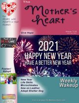 January/February 2021