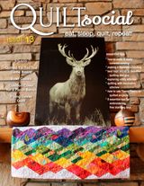 Issue 13