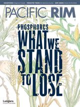 2017 - Volume 3, Issue 4
