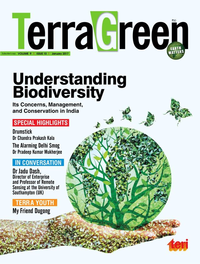 TerraGreen
