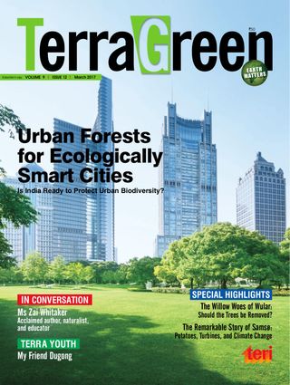 TerraGreen