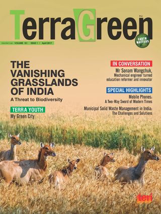 TerraGreen