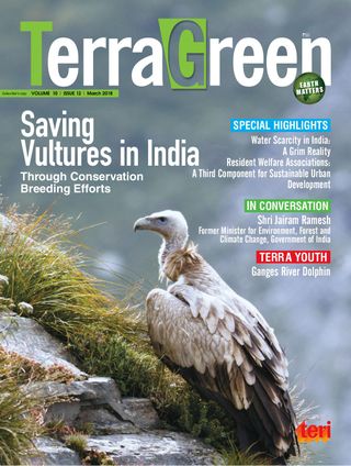 TerraGreen