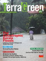 TerraGreen - November 2018 November 2018