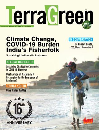 TerraGreen
