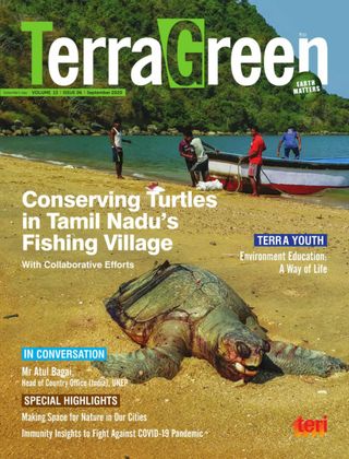 TerraGreen