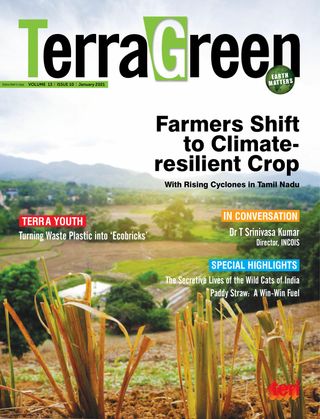 TerraGreen