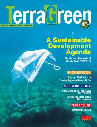 TerraGreen
