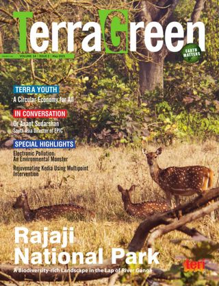 TerraGreen