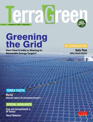 TerraGreen