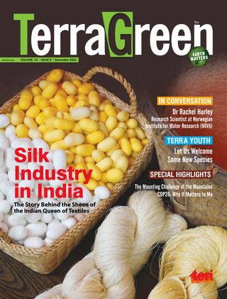 TerraGreen