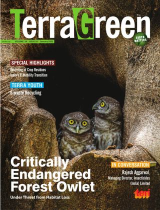 TerraGreen