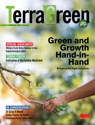 TerraGreen
