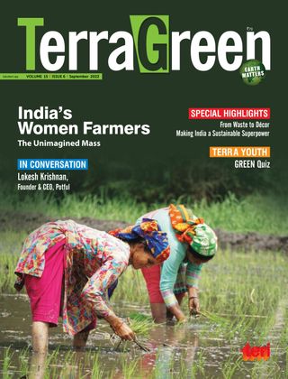 TerraGreen