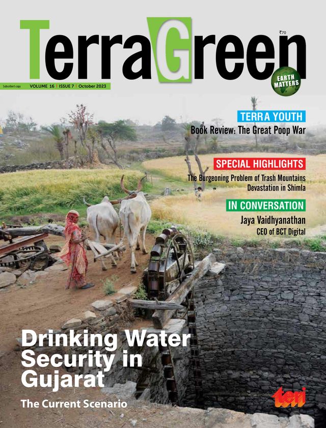 TerraGreen