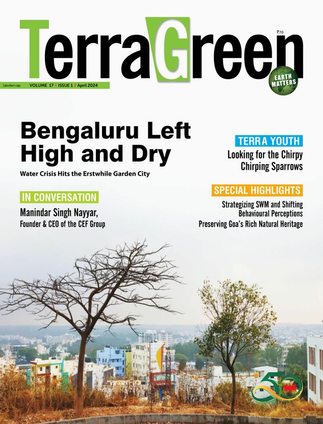 TerraGreen