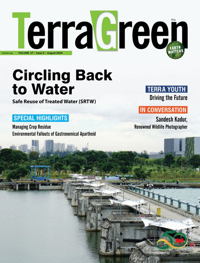 TerraGreen