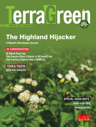 TerraGreen