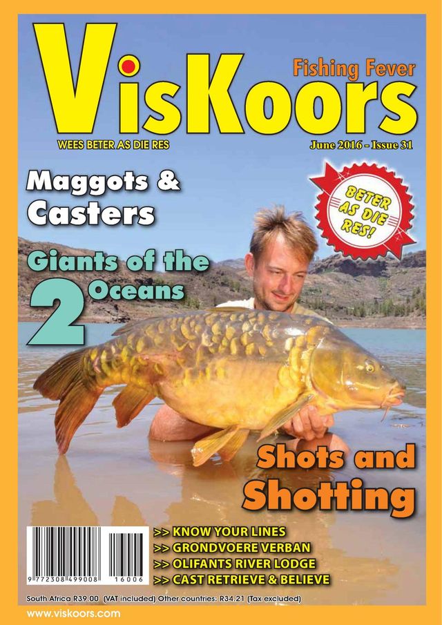 VisKoors