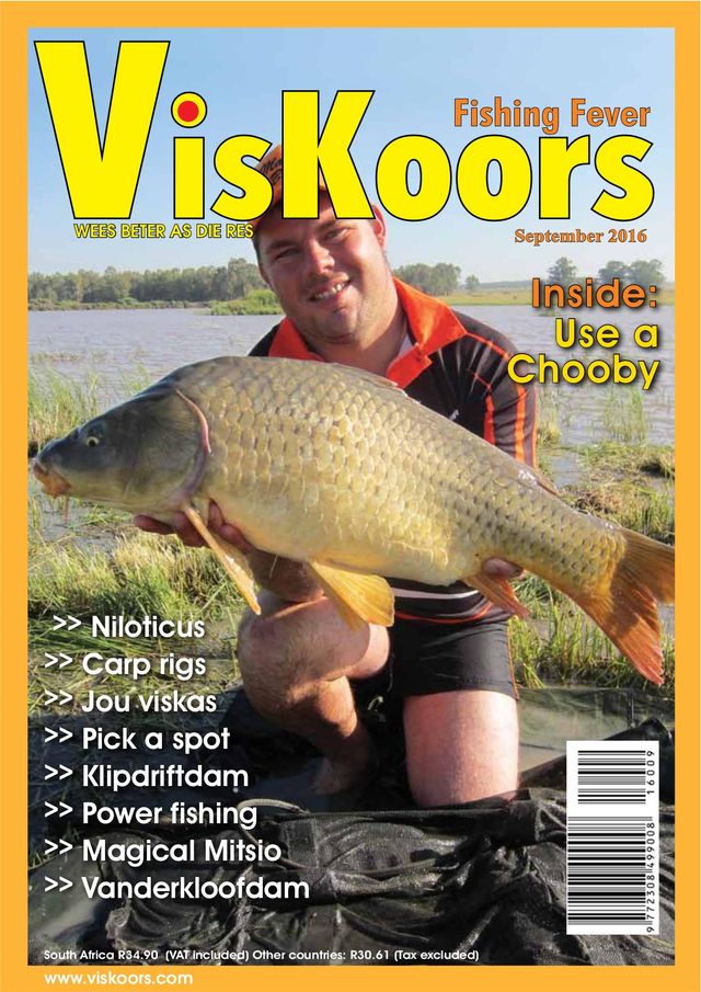 VisKoors