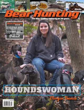 plott hound bear hunting
