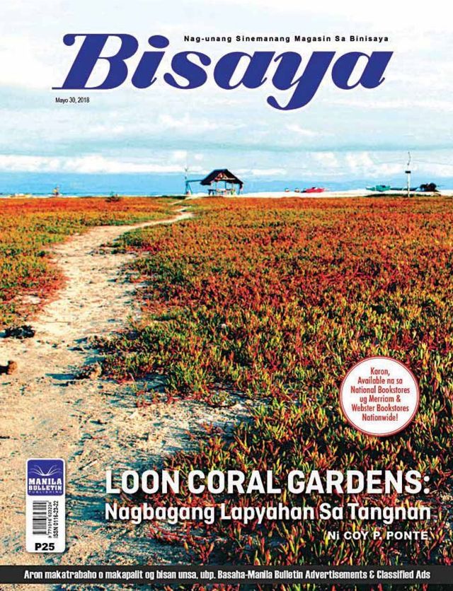 Bisaya
