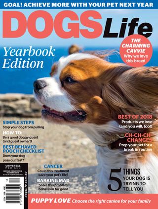 Dogs Life - Issue 149 Dogs Life Cover - Issue 149 Edition