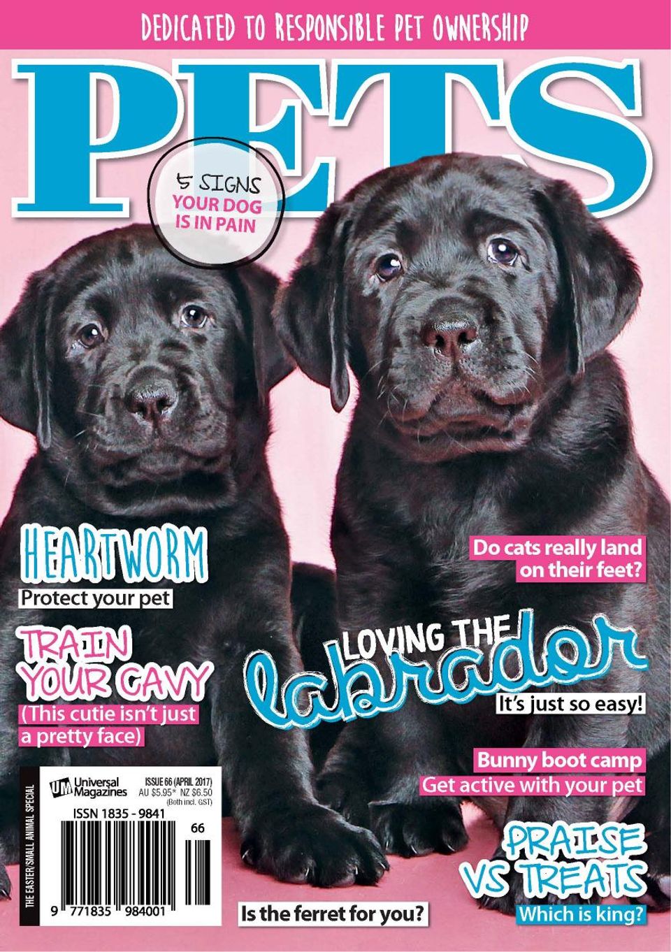 PetsIssue66 2017 Magazine Get your Digital Subscription