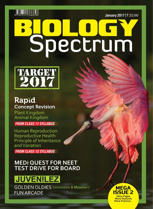Spectrum Biology