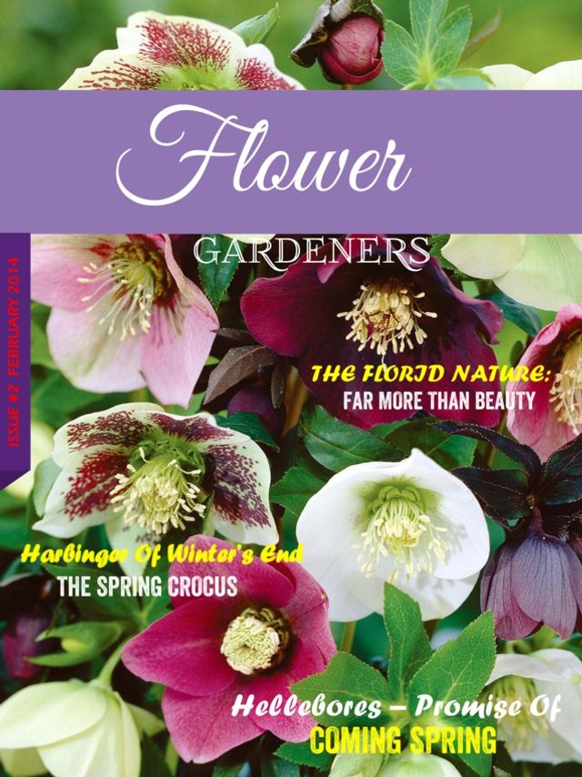 Gå ubegrenset med Magzter GOLD