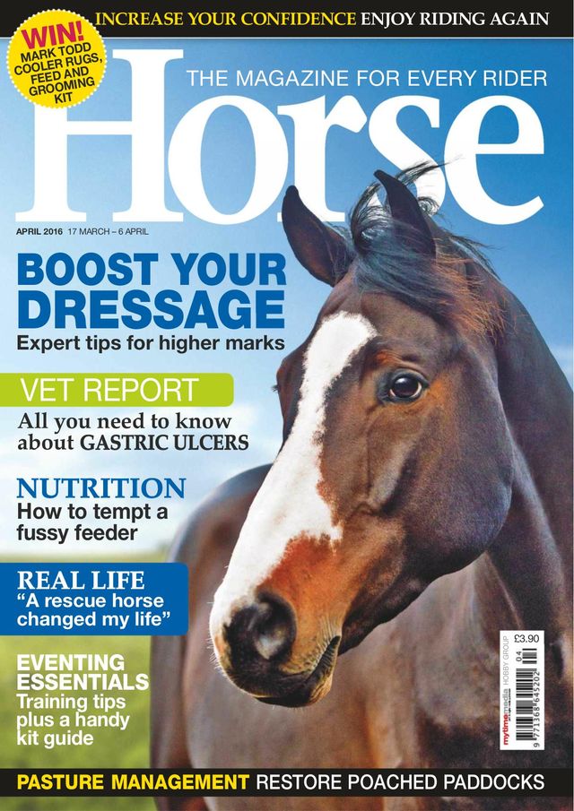 Horse UK