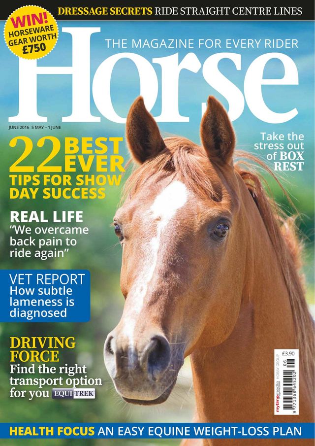 Horse UK