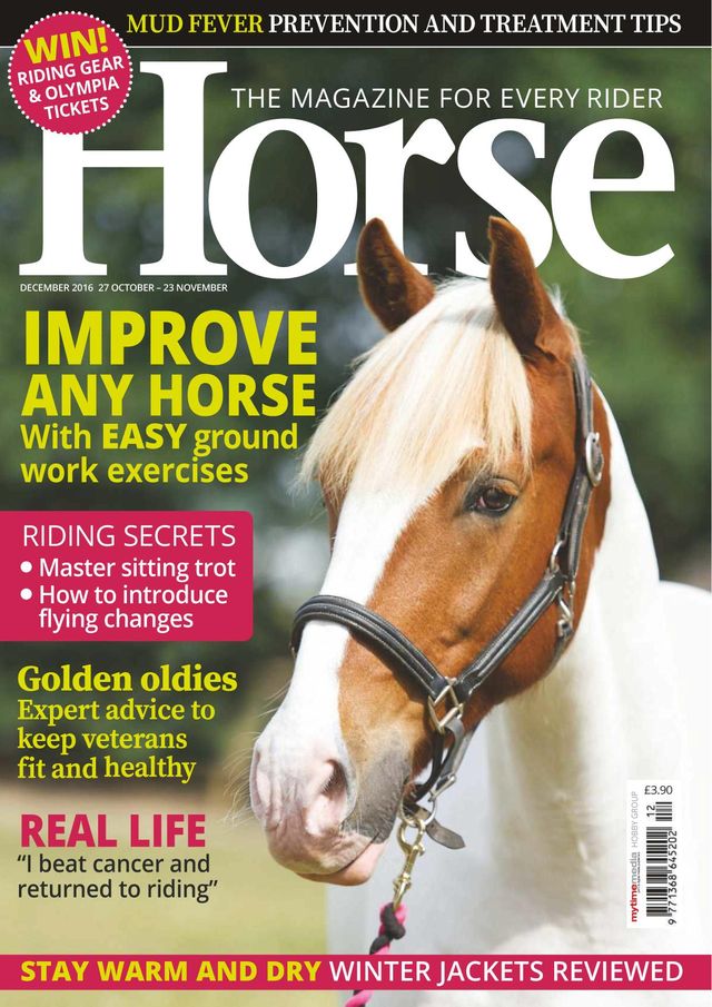 Horse UK
