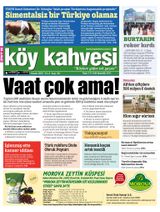 Kasım 2015