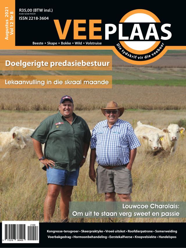 मैगज़्टर गोल्ड के साथ असीमित हो जाओ