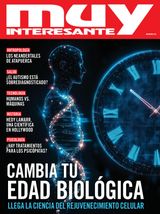 Noviembre 2024