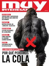 Enero 2025