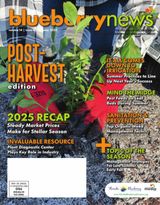 The Blueberry News