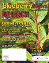 The Blueberry News