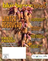 The Blueberry News