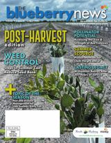 The Blueberry News