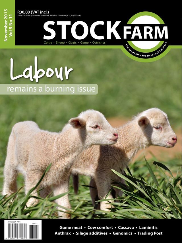 Stockfarm