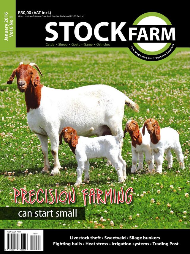 Stockfarm