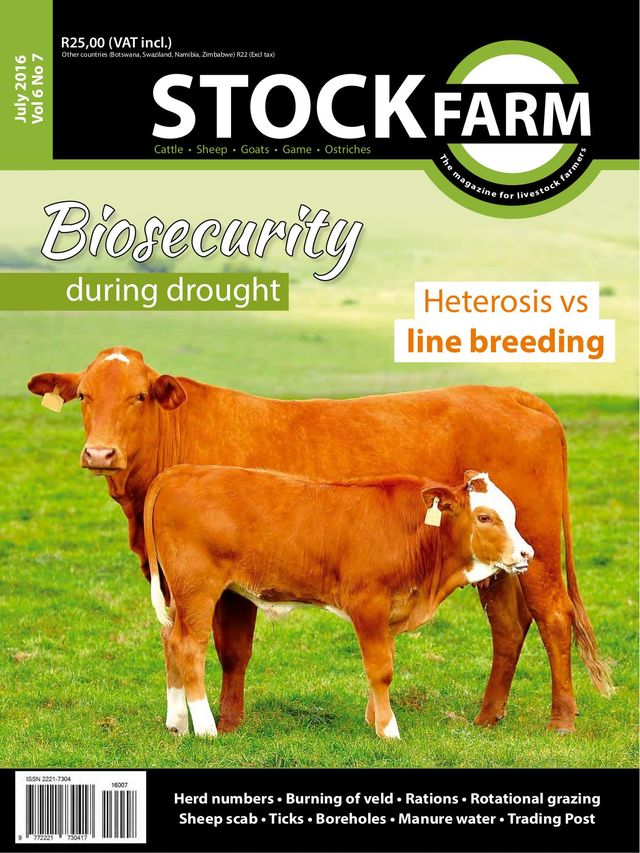 Stockfarm