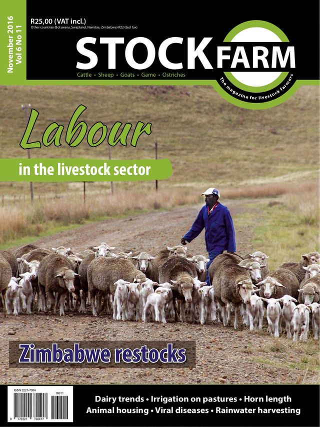 Stockfarm