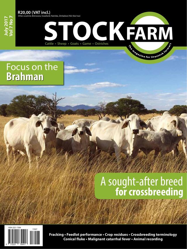 Stockfarm