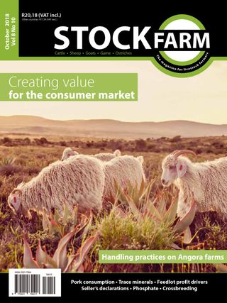 Stockfarm Magazine - May 2025 Stockfarm Magazine Cover - May 2025 Edition